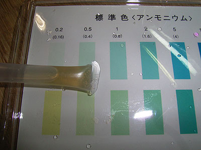 アンモニアのテスト結果