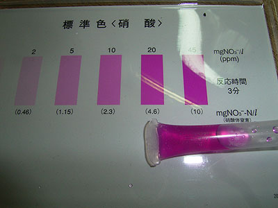 硝酸のテスト結果