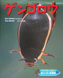 ドキドキいっぱい!虫のくらし写真館〈18〉ゲンゴロウ　／　ドキドキいっぱい!虫のくらし写真館 18