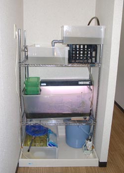 幼虫とエサを管理してしまう装置
