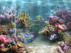 SimAquarium