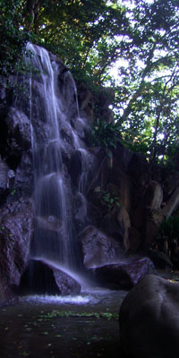 滝