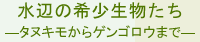 水辺の希少生物たち