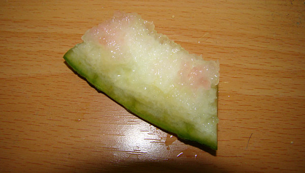 ヒメフチに食べられたスイカ